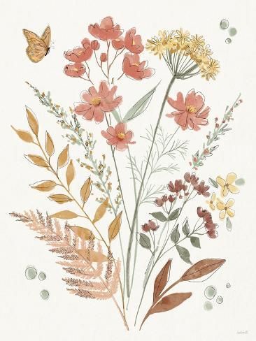 size: 12x9in Art Print: Full Bloom IV by Anne Tavoletti : Vintage Pictures Of Flowers, Antique Flower Painting, Cottage Core Prints, Colorful Cottage Core, Cottagecore Prints, Botanical Art Vintage, Vintage Floral Wall Art, Cottage Core Art, Colorful Cottage