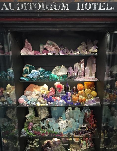 Crystal Collection Display, Rock Collection Display, Mini Museum, Collectors Home, Witchy Room, Metaphysical Art, Crystals Store, Crystal Vibes, Rocks And Fossils