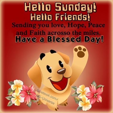 Hello Sunday! Hello Friends! sunday sunday quotes hello sunday sunday image quotes sunday images It’s Sunday, Blessed Sunday Morning, Quotes Sunday, Sunday Ideas, Sunday Humor, A Blessed Sunday, Beach Words, Sunday Pictures, Sunday Greetings