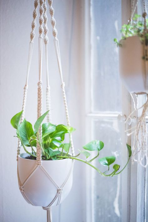 Macrame Easy, Plant Macrame, Diy Macrame Plant Hanger Tutorials, Plant Hanger Tutorial, Diy Macrame Wall Hanging, Koti Diy, Macrame Plant Hanger Tutorial, Macrame Plant Hanger Patterns, Macrame Hanging Planter