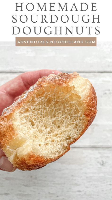 Gluten Free Sourdough Donut Recipe, Sourdough Doughnut Holes, Sourdough Donuts Fried, Sourdough Donut Holes, Sourdough Doughnut Recipe, Sourdough Donut, Sourdough Donut Recipe, Baking With Children, Baking Sourdough Bread