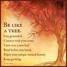 Be like a tree. Stay grounded. Connect with your roots. Turn over a new leaf. Bend before you break. Enjoy your unique natural beauty. Keep growing. Citation Nature, Nasihat Yang Baik, Inspirerende Ord, Fina Ord, Pooh Quotes, Positive Quotes For Life, A Poem, Nature Quotes, Positive Life