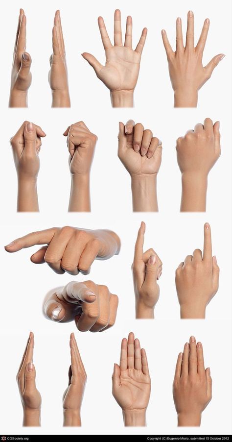 Hand Reference For Drawing, Realistic Hand Reference, Hand Reference Woman, Women Hand Reference, 3d Hand Reference, Womans Hand Reference, Woman Hands Reference, Simple Hand Reference, Flat Hand Reference