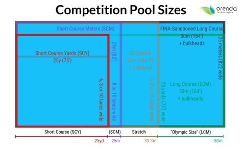 How Big is an Olympic Swimming Pool? Swimming Pool Dimensions, Olympic Swimming Pool, Olympics Swimming, Olympic Size Swimming Pool, Olympic Pool, Swimming Pool Size, Swimming World, Usa Swimming, Olympic Trials