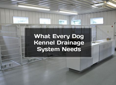 Kennel Designs Ideas, Kennel Drainage System, Kennel Room In House, Commercial Dog Kennel Designs, Dog Daycare Design Floor Plans, Kennel Business Ideas, Dog Kennel Floor Plans, Dog Kennel Layout, Dog Rescue Facility Kennel Ideas