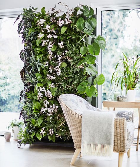 The Living plant wall is one of the hottest new gardening trends of 2018. Create your own piece of plant heaven with this step-by-step guide from Dobbies Plants On The Wall, Living Wall Indoor, Living Wall Planter, Indoor Plant Wall, Interior Boho, Vertical Garden Indoor, Gardens Of Babylon, Plant Wall Decor, Living Room Plants