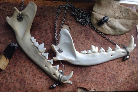 Jaw Bone Jewelry, Wolf Jaw Bone, Jaw Bone Tattoo, Animal Jaw Bone, Fantasy Taxidermy, Roland Deschain, Strega Fashion, Wolf Skull, Bone Tattoos