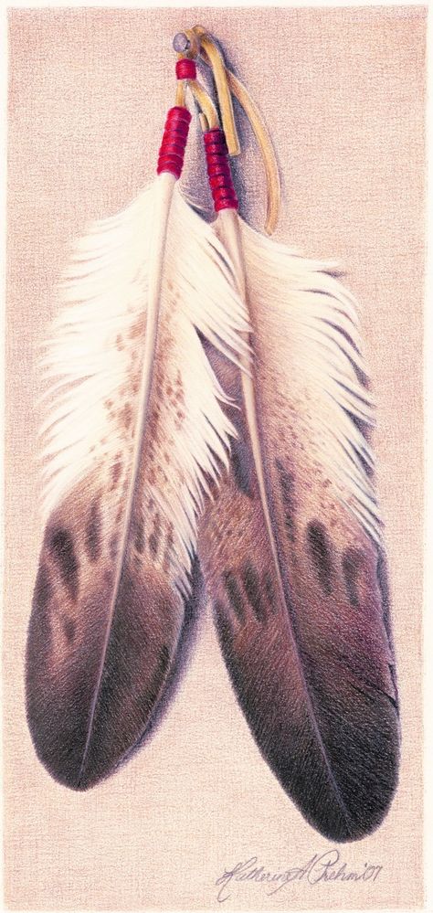 eagle feathers Red Indian Feather Tattoo, Eagle Feathers Tattoo, Golden Eagle Feather Tattoo, Bald Eagle Feather Tattoo, Eagle Feather Tattoo Design, Realistic Feather Tattoo, Golden Eagle Feather, Eagle Feather Tattoo, Sun Spiritual