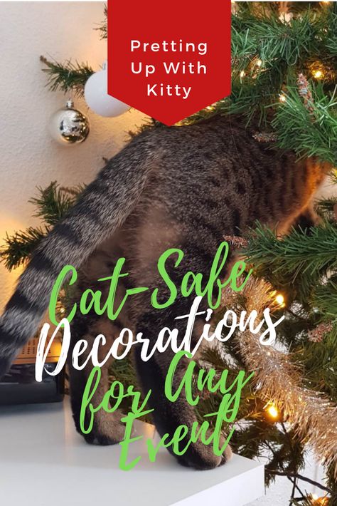 Cat Proof Christmas Decorations, Cat Safe Christmas Decorations, Cat Friendly Christmas Decorations, Cat Safe Christmas Tree, Christmas With Cats, Space Cat Art, Living Spaces Sofa, Cat Proofing, Cozy Christmas Decor