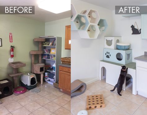 Sojourner Center Pet Companion Shelter Makeover • hauspanther Outdoor Dog Runs, Foster Cat, Cat Sanctuary, Foster Kittens, Farm Design, Cat Door, Animals Cute, Dog Runs, Space Cat