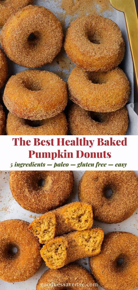 The best ever gluten free pumpkin donuts made with almond flour, warm spices and coated in a delicious layer of cinnamon sugar. A healthier paleo baked donut recipe that is perfectly cakey and sweet just like an actual donut. Pumpkin Donuts Baked, Pumpkin Doughnuts, Vegan Pumpkin Spice, Baked Donut Recipes, Paleo Baking, Healthy Baked, Almond Flour Recipes, Gluten Free Dairy Free Recipes, Baked Donuts