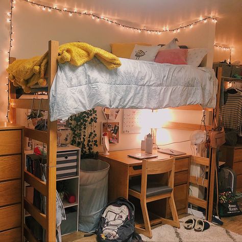 Dorm Decorations Lofted Bed, Dorm Decor Ideas Lofted Bed, Dorm Room Designs Loft Bed, Umn Dorm Room, Dorm Lofted Bed Layout, College Dorm Two Beds, Dorm Inspiration Lofted Bed, Lofting Beds In Dorm Room, Loft Bed College Dorm