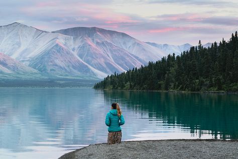 The Best National Park in America? A Guide to Lake Clark National Park https://www.reneeroaming.com/lake-clark-national-park-guide/ Glacier Bay Alaska, National Parks America, Amazing Places To Visit, Lake George Ny, Indiana Dunes, Kenai Fjords, Brown Bears, Glacier Bay, Usa Travel Guide