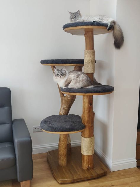 Cat Trees Homemade, Cat Scratcher Tree, Luxury Cat Tree, Wooden Cat Tree, Cat Climbing Tree, Diy Cat Tree, Modern Cat Furniture, Modern Cat Tree, Cat Sanctuary