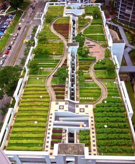 Rooftop park. A garden on top of the roof of a multi-storey car park in Toa Payo , #AFF, #top, #roof, #multi, #Rooftop, #park #ad Rooftop Garden Urban, Green Roof Garden, Roof Garden Design, Eco Buildings, Front Garden Landscape, Rooftop Design, Urban Landscape Design, Landmark Buildings, Roof Architecture