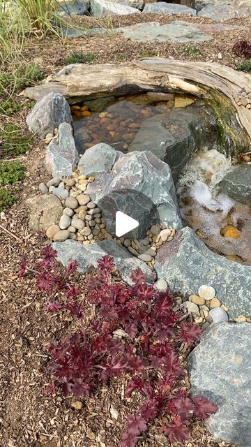 Olympian water gardens, ponds & water features Manchester on Instagram: "Back to see the Pondless waterfalls built by certified Aquascape contractors a few weeks back , I left before it was planted , now it’s fully planted and looking amazing 🪴💦🪴💦 
Olympian water gardens. Manchester 0161 706 1080 #olympianwatergardens
#Koi #pond #koicarp #koipond #watefeature #waterfalls #watergarden #aquascape #manchester #pondconstruction #pondbuilder #pondfittings #soundsofwaterfalls #soundsofwater #ecosystem #sustainability #sustainable #gardendesign #gardenpond #gardenponds #gardening #garden #landscapephotograph
#japanesegardening #japanesegardendesign #japanesekoipond #gardenfence #gardeninspiration" Waterfall Building, Pondless Water Features, Pond Construction, Pond Ideas, Pond Water Features, Japanese Garden Design, Japanese Koi, Water Gardens, Koi Carp