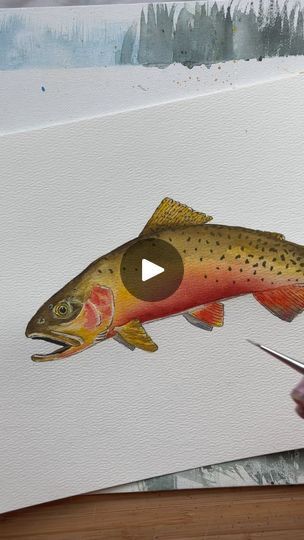 13 reactions | I’ve been on a journey with Trout lately and teaching myself how to capture the coloring and markings with watercolor. I’m loving the detail that’s needed with each Trout species. And those spawning colors are gorgeous. This is a Colorado Cutthroat and I think I might move onto a Brown next. That might be one of my favorites to see during spawning. Which is coming up btw. They start their journey in October (in these neck of the woods). #watercolor #watercolorart #watercolorpainting #watercolortrout #trout #coloradotrout #love #duluth #duluthmn #art #inspiration #duluthartist #duluthminnesota #fish #troutfishing | Duluth, MN • Art & Design • LeeAnn Huot | Roman Nagel · Passacaglia Brown Trout Art, Woods Watercolor, Trout Species, Trout Art, Duluth Minnesota, Duluth Mn, Brown Trout, Trout Fishing, Water Colour