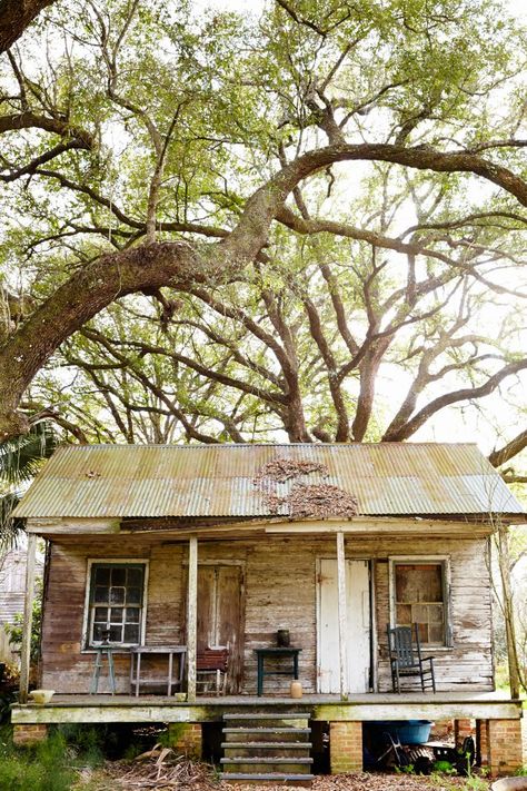 Originally built in the 1840s, this Creole cottage sits between a sugarcane field and Bayou Teche in Franklin, Louisiana Creole Cottage House Plans, Bayou Cottage, Cajun Cottage, Bayou House, Louisiana Creole, Background Inspiration, Louisiana Swamp, Creole Cottage, Louisiana Bayou