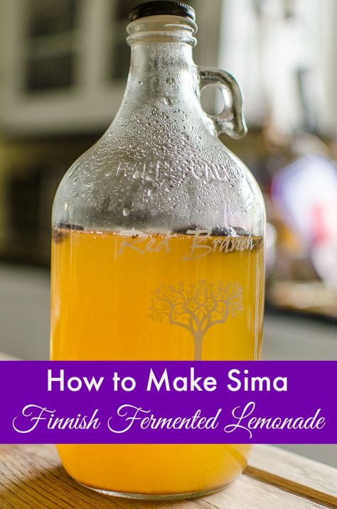 How to make sima, Finnish fermented lemonade. Sima is a easy and healthy probiotic spring drink recipe from Finland. It uses ingredients you probably have in your cupboard right now! Pin this sima recipe and let me know what you think! Sima Recipe, Fermented Lemonade, Finnish Recipes, Food Experiments, Fermented Tea, Rustic Recipes, Fermentation Recipes, Lemon Drink, Fermented Drink