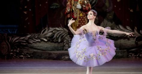 Olga Skripchenko as - Olga Skripchenko as Lilac Fairy in The Sleeping Beauty --- #Theaterkompass #Theater #Theatre #Tanztheater #Ballett Sleeping Beauty Ballet Lilac Fairy, Sleeping Beauty Ballet Fairies, Lilac Fairy Costume, Lilac Fairy Tutu, Lilac Fairy Ballet, Semi Eita, Dance Sayings, Lilac Fairy, Sleeping Beauty Ballet