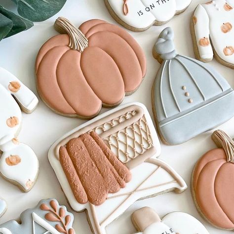 Kendall Jones on Instagram: "A little pumpkin is on the way!" Little Pumpkin On The Way Cookies, Pink Pumpkin Baby Shower Cookies, A Little Pumpkin Is On The Way Cookies, Pumpkin Baby Shower Cookies, Kendall Jones, Pumpkin Cookies Decorated, Shower Cookies, Pumpkin Baby, Baby Shower Pumpkin