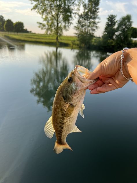 Bass Fishing Aesthetic, Fishing Photoshoot, Fishing Aesthetic, Pond Fishing, Country Girl Aesthetic, Fish Aesthetic, Fishing Girl, Fall Fishing, Fishing Photos