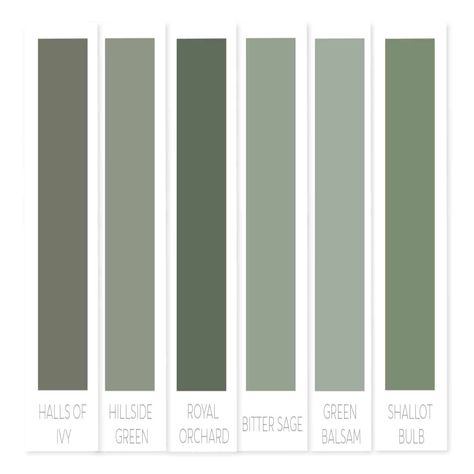 Behr green paint | best green paint colors | best Behr green paint | popular green paint Behr Behr Green Paint, Behr Green Paint Colors, Favorite Green Paint Colors, Green Paint Colors Bedroom, Sherwin Williams Green, Sage Green Paint Color, Sage Green Paint, Behr Paint Colors, Behr Paint