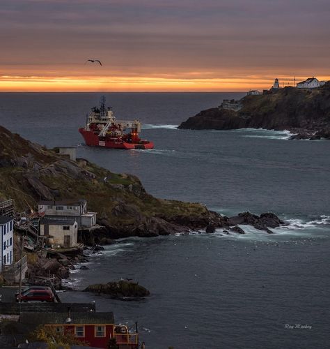 Canada on Instagram: “St. John’s, Newfoundland. Image by @raymackeyphotography #ImagesofCanada⁠” Newfoundland Aesthetic, St Johns Newfoundland, Newfoundland Canada, 2025 Vision, St Johns, Newfoundland, Dream Destinations, Travel Bucket List, Travel Bucket