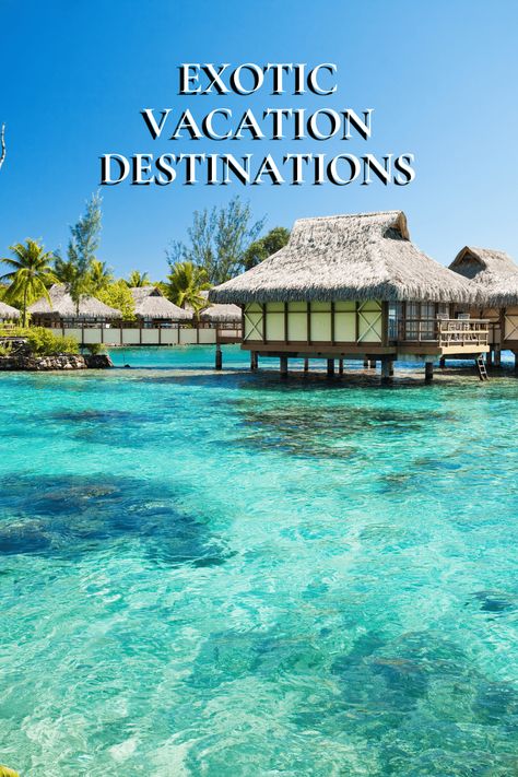 Overwater Bungalows in the Maldives with crystal-clear water in the foreground. Text overlay says "Exotic Vacation Destinations." New Years Vacation Ideas, Exotic Places To Travel, Asia Vacation, Exotic Vacation Destinations, Exotic Travel Destinations, Amazing Experiences, Visit Marrakech, Beautiful Vacation Destinations, Exotic Vacations