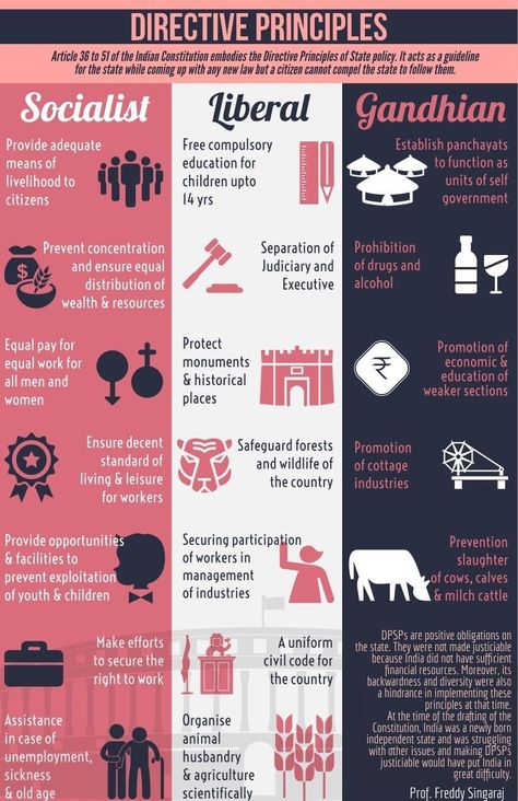 Directive Principles Of State Policy, Polity Notes In English, International Relations Notes, Polity Notes For Upsc, Pol Science, Polity Notes, Indian Polity, Government Lessons, Economics Notes