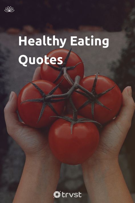 "Healthy Eating Quotes"- Eating offers many benefits we don’t think of. Socially, we gather and build bonds over meals. Aesthetically, we find pleasure in dining and expert plating. But above these benefits, there’s the primary reason for eating; to promote good health. Our selection of healthy eating quotes is set to inspire... #trvst #quotes #mind&body #food #health #wellbeing #wellness #healthy #healthyeating #healthyfood #healthyliving #healthylife #togetherwecan Food Is Medicine Quote Health, Healthy Meal Quotes, Get Healthy Motivation Quotes, Happy Eating Quotes, Health And Nutrition Quotes, Health Food Quotes, Vegetables Quote, Clean Eating Quotes, Food Sayings