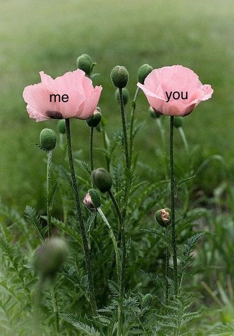 Y Love Me, Loving You Is Easy, Giving Flowers To Someone, Me And You, Me And Her, Her Aesthetic, You Are My Moon, I Love Flowers, About You