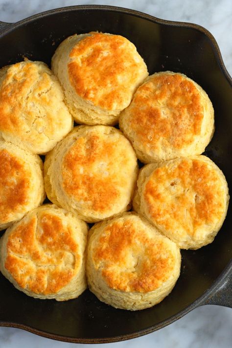 Biscuit Recipe With Milk, Biscuit Recipe No Milk, Fluffy Homemade Biscuits, Fluffy Scones, Recipe With Milk, Cabbage Dishes, Inspired Taste, Biscuits From Scratch, Easy Biscuit