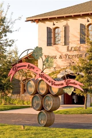 Winery Decor, Lodi California, California Winery, Wine Country Travel, Wine Tourism, Wine House, Wine Down, Wine Country California, California Wine