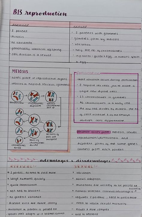 Reproduction Biology Notes, Aqa Biology Gcse, Class 10 Reproduction Notes, Reproduction Notes Biology, Gcse Aqa Biology Revision Notes, Biology Reproduction Notes, Reproduction In Animals Notes, Biology Notes Reproduction, Class 10 Science Notes Biology Reproduction