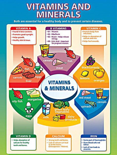 Nutrition Newsletter #ANutritionistSalary id:2286012669 #NutritionRecipes Cool Experiments, Nutrition Classes, Super Healthy Kids, Nutrition Chart, Nutrition Quotes, Nutrition Sportive, Essential Vitamins, Nutrition Labels, Holistic Nutrition