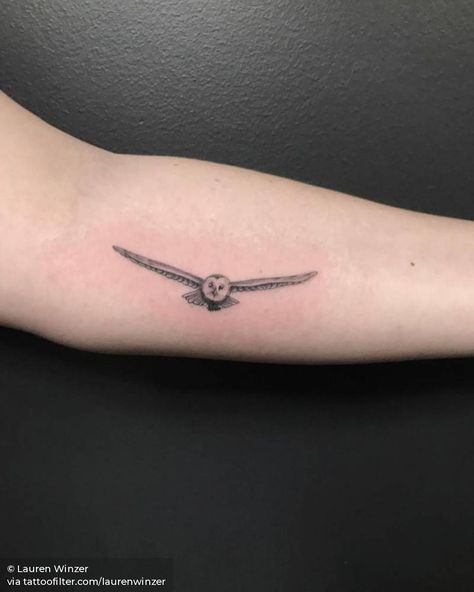 Flying barn owl tattoo Owl In Flight Tattoo, Snowy Owl Tattoo, Flight Tattoo, Hedwig Tattoo, Owl Tattoo Meaning, Barn Owl Tattoo, Realistic Owl Tattoo, Athena Tattoo, Owl Tattoo Drawings