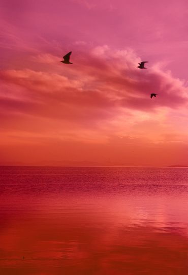 Red Sunset, Colorful Life, Orange Aesthetic, Pink Sunset, Pink Sky, Red Aesthetic, Pink Aesthetic, Sunrise Sunset, Orange Color