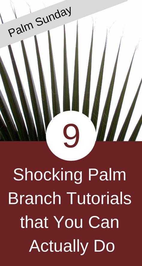 9 Surprising Ways You Can Transform Your Palm Sunday Branches - Diocese Events Palm Branch Craft, Palm Sunday Quotes, Lent Decorations For Church, Happy Palm Sunday, Palm Sunday Decorations, Palm Cross, Catholic Lent, Palm Sunday Crafts, Origami For Kids