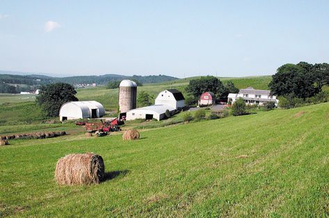 Farm Retreat, Deep Creek Lake, Lakeside Cottage, Luxury Suites, Retreat Center, Relaxing Weekend, Stay Overnight, Lavender Farm, Beautiful Sights