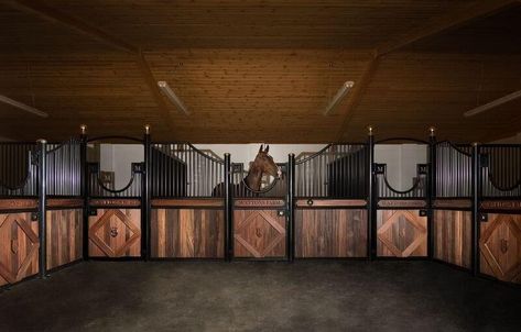 Modern Stables, Livery Yard, Luxury Horse Stables, Luxury Horse Barns, Horse Stalls Doors, Aesthetic Future, Equine Facility, Dream Barn Stables, Horse Walker