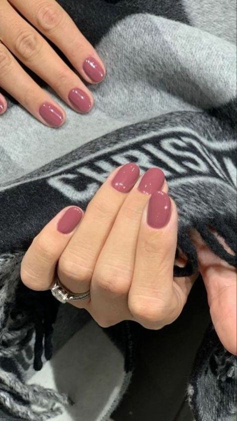 January Nail Colors, Short Classy Nails, Old Money Nails, Shellac Nail Colors, Sophisticated Nails, Money Nails, Natural Nails Manicure, Popular Nail Colors, Bauch Tattoos