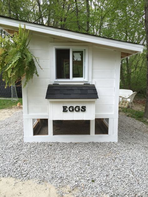 Our fancy hen house | BackYard Chickens Pallet Backyard, Coop Layout, Modern Chicken Coop, Buff Orpingtons, Coop Signs, Coop Decor, Oasis Backyard, Cute Chicken Coops, Gardening Backyard