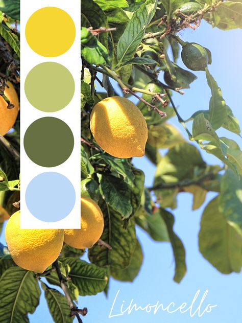 Limoncello Color Palette, Cinque Terre Color Palette, Summertime Color Palette, Wedding Summer Palette, Italian Colors Palette, Italy Wedding Color Scheme, Color Pallets Summer, Capri Color Palette, Sicilian Color Palette