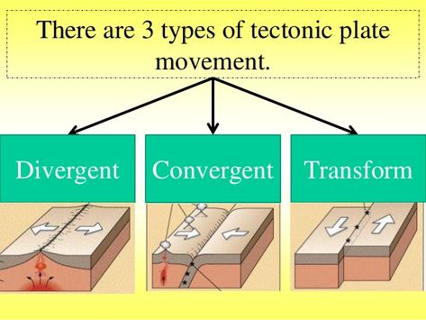 There are 3 types of tectonic plate  movement.  Divergent Convergent Transform Convergent Plate Boundary Illustration, Plate Boundaries Drawing, Tectonic Plate Movement, Basic Geography, Animal Cells, Earth Science Lessons, Plate Boundaries, Science Astronomy, Plate Movement