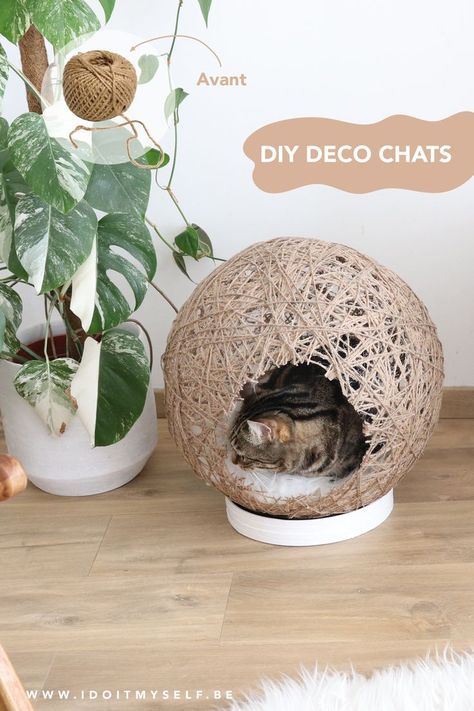 Diy Chat, Princess Bedrooms, Chat Diy, Diy Cat Toys, Cats Diy Projects, Diy Deco, Diy Ikea Hacks, Diy Bricolage, Cat Scratching Post