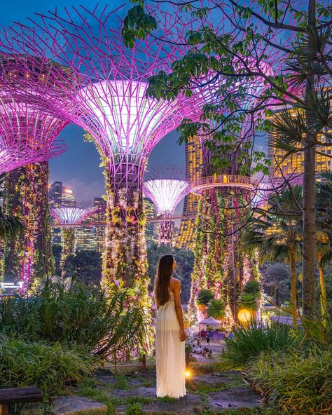 Supertree Grove Singapore, Singapore Travel Aesthetic, Singapore Aesthetic Outfit, Singapore Instagram Photos, Singapore Instagrammable, Singapore Photo Ideas, Aesthetic Singapore, Singapore Aesthetic, Supertree Grove