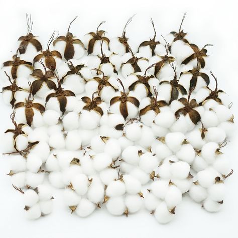 PRICES MAY VARY. Quantity: 50 pieces rustic cotton heads with iron wire. Size: the diameter of the dried cotton ball stalk is about 2”-2.5”(5-6cm). Application: you can make the highest quality nature boll and plants great for arts handcrafts, around wreath decor, wedding flowers, cotton branch, farmhouse decorations, education, gift wrapping, and added fake stems for taller vases or projects. Material: natural cotton shell, artificial cotton, feels soft and looks more natural. Packaging: the 50 Decor Balls, Cotton Bolls, Cotton Branches, Home Wedding Decor, Cotton Decor, Cotton Boll, Cotton Wreath, Cotton Plant, Cotton Balls