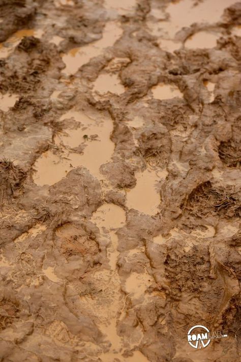 Muddy Aesthetic, Mud Aesthetic, Muddy Footprints, Mud Texture, Dirt Texture, Terrain Texture, Gross Things, Mud Water, Nature Elements