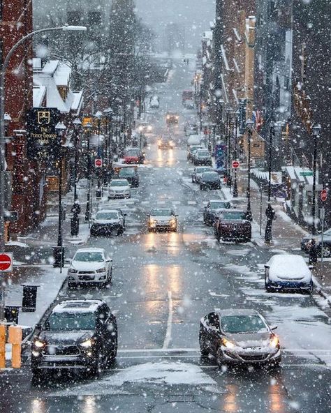 Snowy Street, Downtown Halifax, Christmas Dreaming, Halifax Nova Scotia, Winter Inspo, Cosy Christmas, I Love Winter, Christmas Feeling, Winter Love